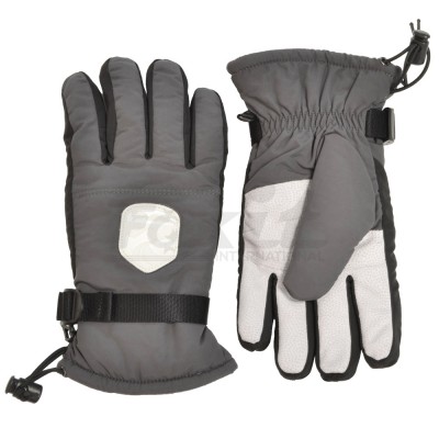 Ski Gloves